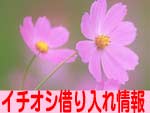 �؂�Ղ�����ݸ޶޲�ސ\������